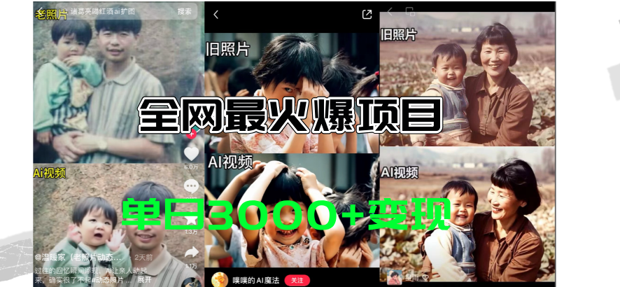 (11546期)全网爆火的AI让老照片动起来教程,蹭热点日赚3000+,内含免费工具一键…-网创之道