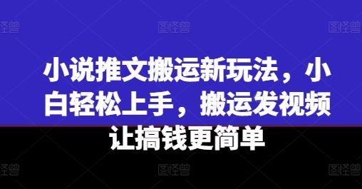 小说推文搬运新玩法，小白轻松上手，搬运发视频让搞钱更简单-网创之道