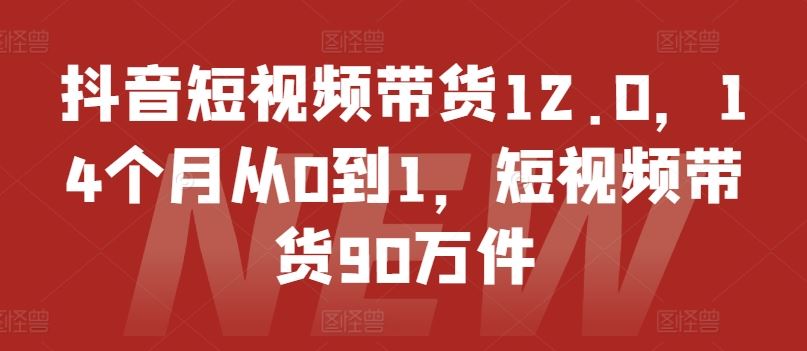 抖音短视频带货12.0,14个月从0到1,短视频带货90万件-网创之道