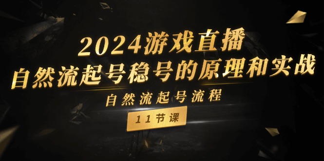 (11653期)2024游戏直播-自然流起号稳号的原理和实战,自然流起号流程(11节)-网创之道
