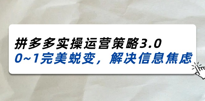(11658期)2024_2025拼多多实操运营策略3.0,0~1完美蜕变,解决信息焦虑(38节)-网创之道