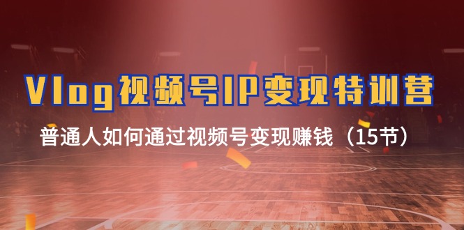 Vlog视频号IP变现特训营，普通人如何通过视频号变现赚钱（15节）-网创之道