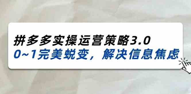 2024-2025拼多多实操运营策略3.0，0~1完美蜕变，解决信息焦虑（38节）-网创之道