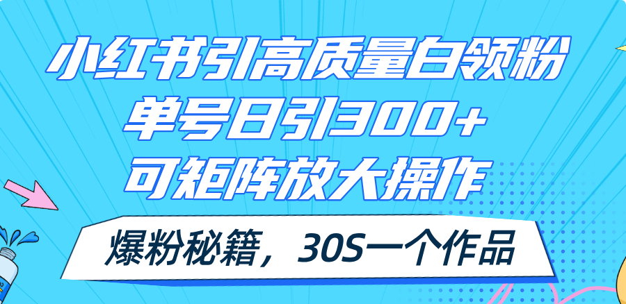 (11692期)小红书引高质量白领粉,单号日引300+,可放大操作,爆粉秘籍!30s一个作品-网创之道