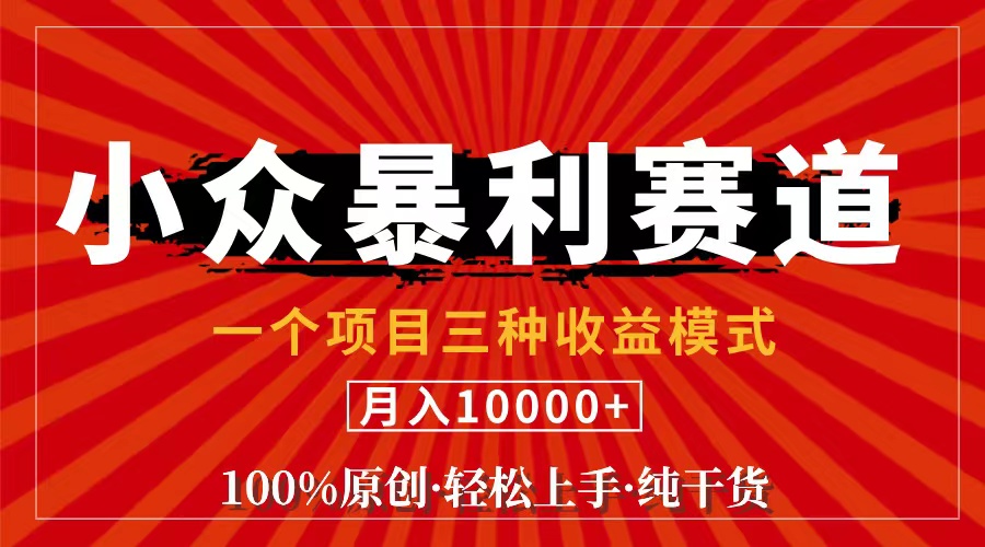 (11695期)视频号【中老年粉深信不疑】小众赛道 100%原创 手把手教学 新号3天收益…-网创之道