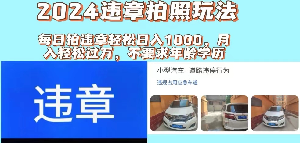 (11743期)2024违章拍照新玩法,推广躺赚+拍照赚钱双模式,日入1000+-网创之道