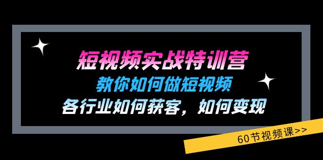 短视频实战特训营：教你如何做短视频，各行业如何获客，如何变现 (60节)-网创之道