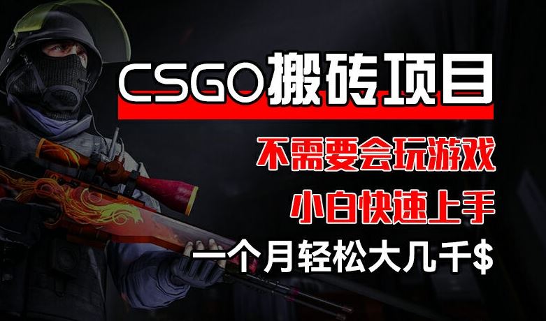 CSGO 装备搬砖项目，操作简单，不需要会玩游戏，小白也能快速上手，一个月轻松大几千【揭秘】-网创之道