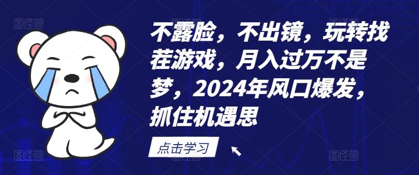 不露脸，不出镜，玩转找茬游戏，月入过万不是梦，2024年风口爆发，抓住机遇【揭秘】-网创之道