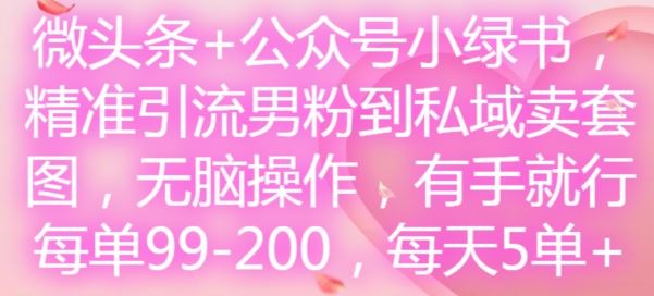 微头条+公众号小绿书,精准引流男粉到私域卖套图,无脑操作,有手就行,每单99-200,每天5单-网创之道
