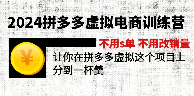 (12024期)2024拼多多虚拟电商训练营 不s单 不改销量 做虚拟项目分一杯羹(更新10节)-网创之道