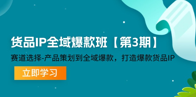 （12078期）货品-IP全域爆款班【第3期】赛道选择-产品策划到全域爆款，打造爆款货品IP-网创之道