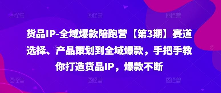 货品IP全域爆款陪跑营【第3期】赛道选择、产品策划到全域爆款，手把手教你打造货品IP，爆款不断-网创之道