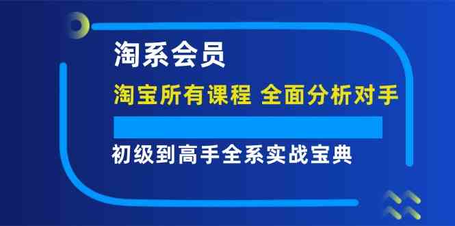 淘系会员初级到高手全系实战宝典【淘宝所有课程,全面分析对手】-网创之道