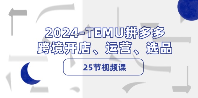 （12106期）2024-TEMU拼多多·跨境开店、运营、选品（25节视频课）-网创之道