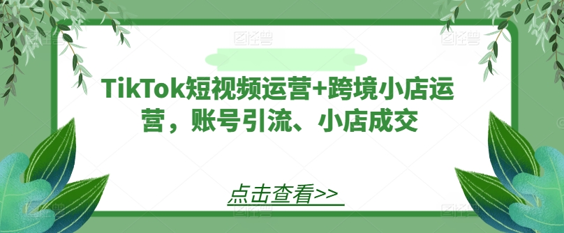 TikTok短视频运营+跨境小店运营,账号引流、小店成交-网创之道