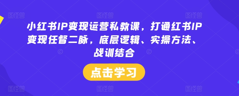 小红书IP变现运营私教课,打通红书IP变现任督二脉,底层逻辑、实操方法、战训结合-网创之道
