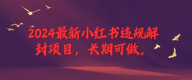2024最新小红书违规解封项目，长期可做，一个可以做到退休的项目【揭秘】-网创之道