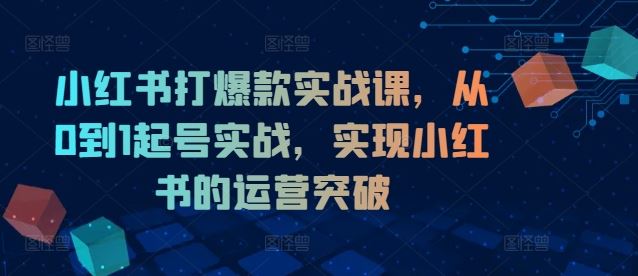 小红书打爆款实战课,从0到1起号实战,实现小红书的运营突破-网创之道