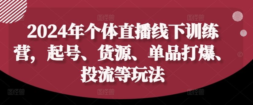 2024年个体直播训练营，起号、货源、单品打爆、投流等玩法-网创之道