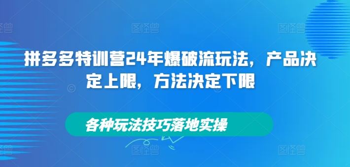 拼多多特训营24年爆破流玩法,产品决定上限,方法决定下限,各种玩法技巧落地实操-网创之道