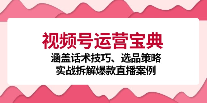 视频号运营宝典：涵盖话术技巧、选品策略、实战拆解爆款直播案例-网创之道