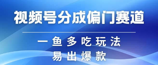 视频号创作者分成计划偏门类目，容易爆流，实拍内容简单易做-网创之道