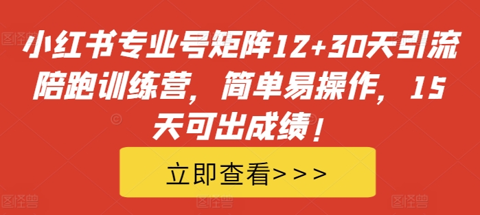 小红书专业号矩阵12+30天引流陪跑训练营，简单易操作，15天可出成绩!-网创之道