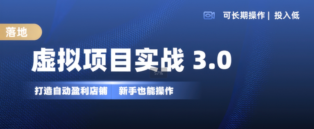 虚拟项目实战3.0，打造自动盈利店铺，可长期操作投入低，新手也能操作-网创之道