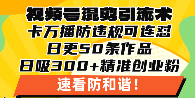 视频号混剪引流技术，500万播放引流17000创业粉，操作简单当天学会-网创之道