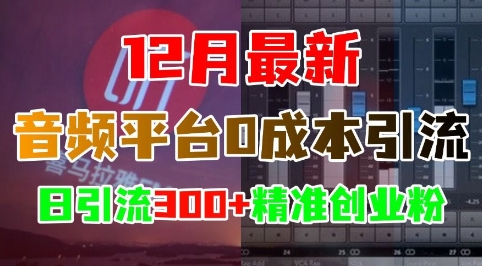 12月最新：音频平台0成本引流，日引流300+精准创业粉-网创之道