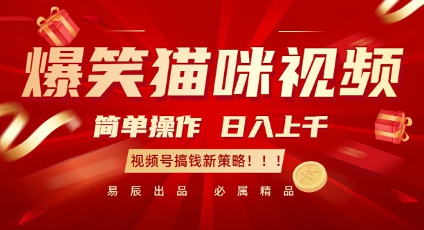 爆笑猫咪视频：简单操作，日入过K，视频号搞钱新策略-网创之道