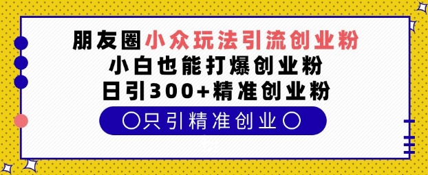 朋友圈小众玩法引流创业粉，小白也能打爆创业粉，日引300+精准创业粉-网创之道