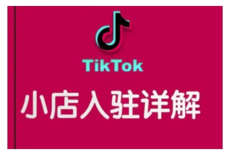 TikTok跨境小店运营全攻略，帮助你独立运营TK跨境小店的能力，实现销量增长-网创之道