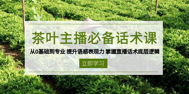 茶叶主播必备话术课 从0基础到专业 提升语感表现力 掌握直播话术底层逻辑-网创之道