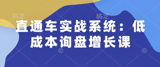 直通车实战系统：低成本询盘增长课，让个人通过技能实现升职加薪，让企业低成本获客，订单源源不断-网创之道
