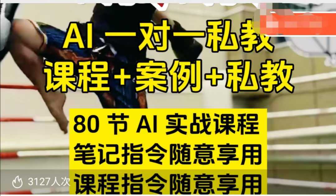 AI指令实战课，课程+案例，80节AI实战课程，笔记指令随意享用，课程指令随意享用-网创之道