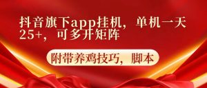 抖音旗下app自动挂机,单机一天收益25+,可多开矩阵-网创之道