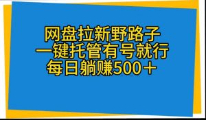 (10468期)网盘拉新野路子,一键托管有号就行,全自动代发视频,每日躺赚500+-网创之道