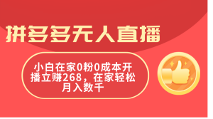 (11521期)拼多多无人直播,小白在家0粉0成本开播立赚268,在家轻松月入数千-网创之道