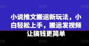 小说推文搬运新玩法，小白轻松上手，搬运发视频让搞钱更简单-网创之道