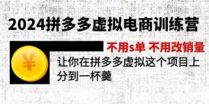 2024拼多多虚拟电商训练营 不用s单 不用改销量 在拼多多虚拟上分到一杯羹-网创之道