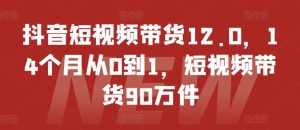 抖音短视频带货12.0,14个月从0到1,短视频带货90万件-网创之道