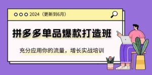 2024拼多多单品爆款打造班,充分应用你的流量,增长实战培训(更新6月)-网创之道