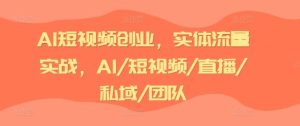 AI短视频创业,实体流量实战,AI/短视频/直播/私域/团队-网创之道