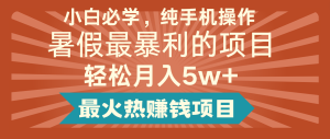 2024暑假最赚钱的项目，简单无脑操作，每单利润最少500+，轻松月入5万+-网创之道