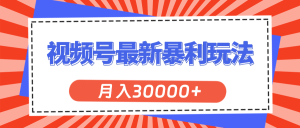 （11588期）视频号最新暴利玩法，轻松月入30000+-网创之道