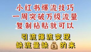 小红书爆流技巧,一周突破万级流量,复制粘贴就可以,引流爆流变现【揭秘】-网创之道