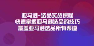 亚马逊选品实战课程,快速掌握亚马逊选品的技巧,覆盖亚马逊选品所有渠道-网创之道