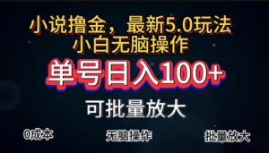 （11651期）全自动小说撸金，单号日入100+小白轻松上手，无脑操作-网创之道